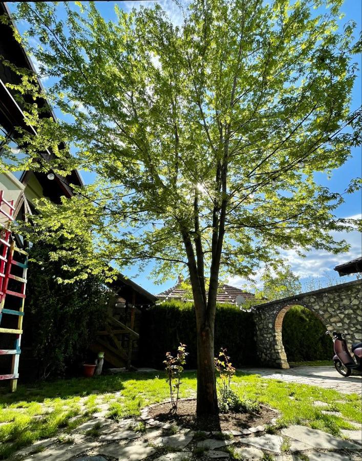 Hanul Moara Veche Pensiune Restaurant Berca Exterior photo